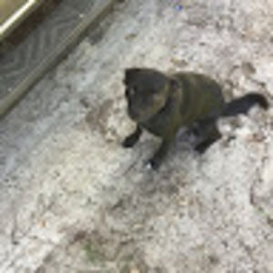 Meet your Posher, Savannah